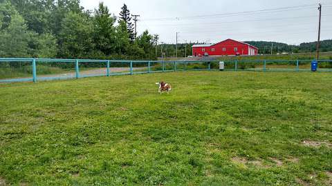 Clarenville Dog Park